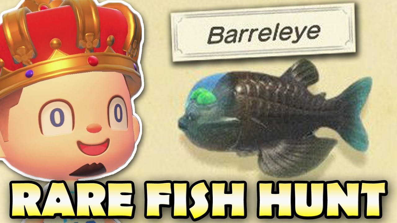 🐟 BARRELEYE, GIANT TREVALLY, & MORE!  Animal Crossing New Horizons RARE FISH HUNT!