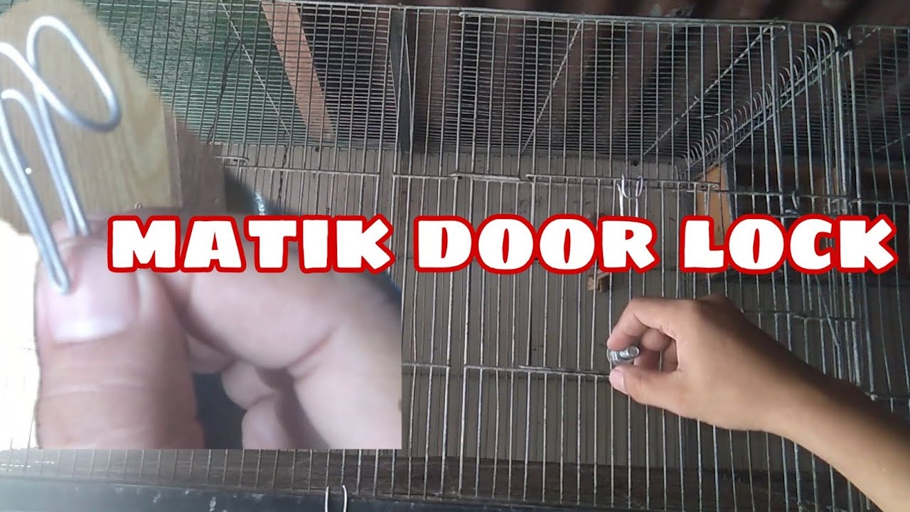 matic door cage lock, door weights and poop tray lock. for bird cage