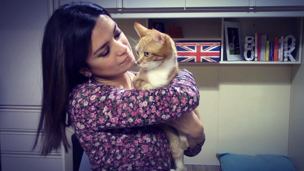 AUDREY E...  SETTE LIBRI (STUPENDI) SUI GATTI!