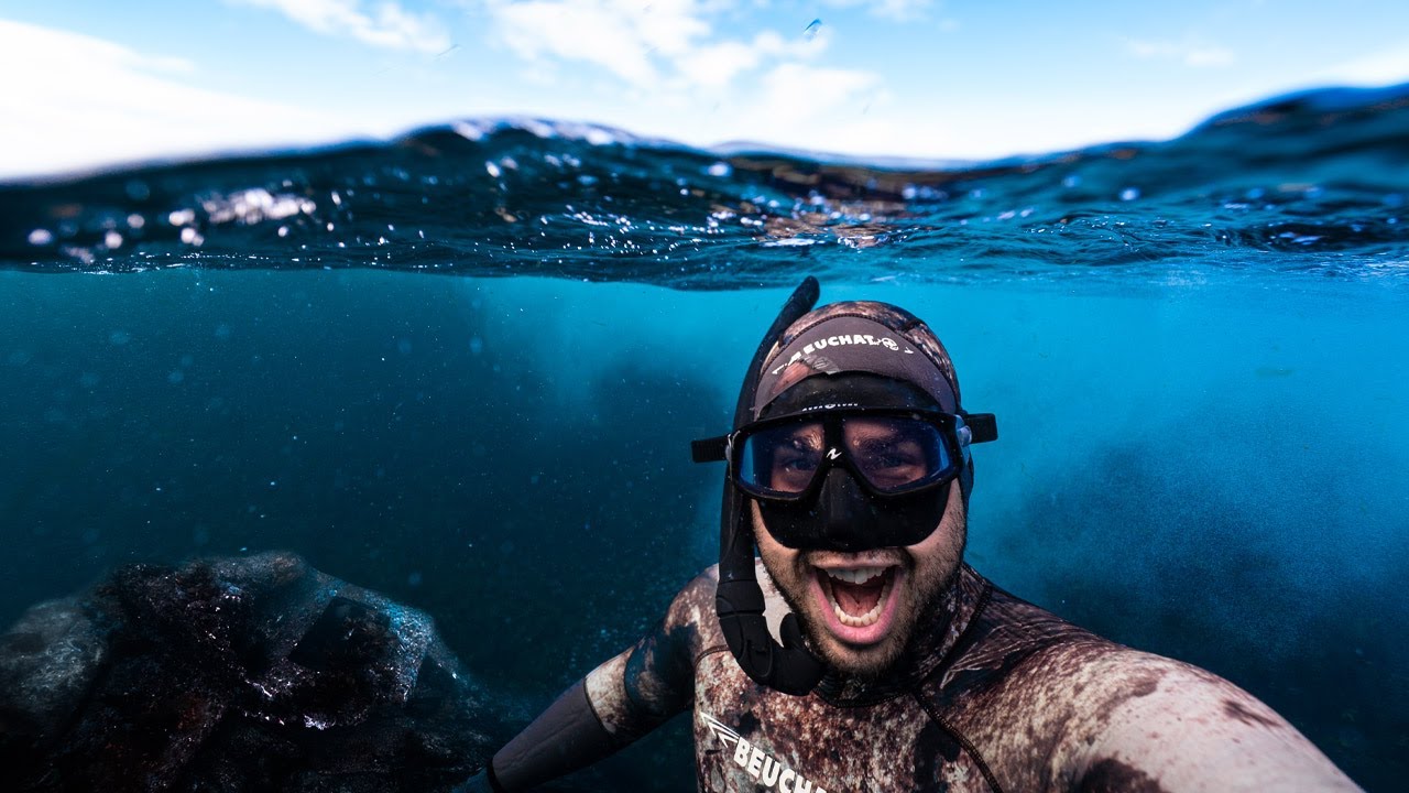 Shipwrecks and Sea Dragons on The Sapphire Coast