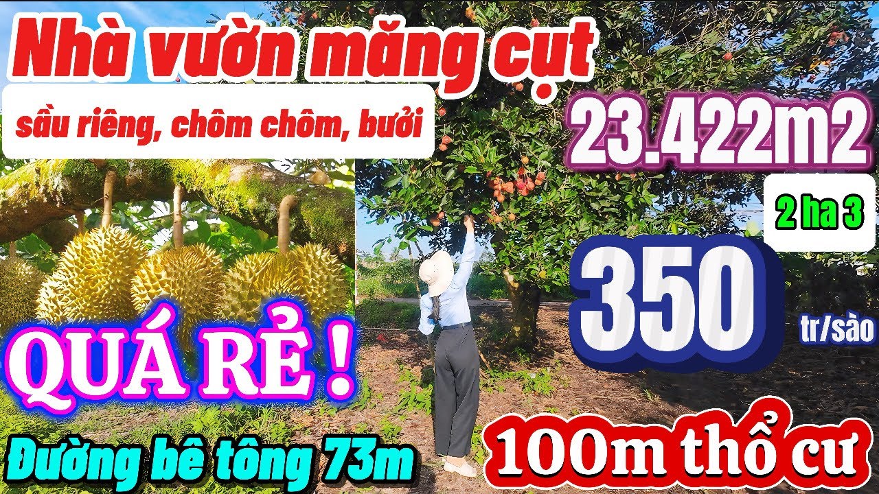 Nhà đất đồng nai, chỉ 350tr/sào nhà vườn cây trái đẹp mê có sẵn thổ cư đường bê tông hiện hữu