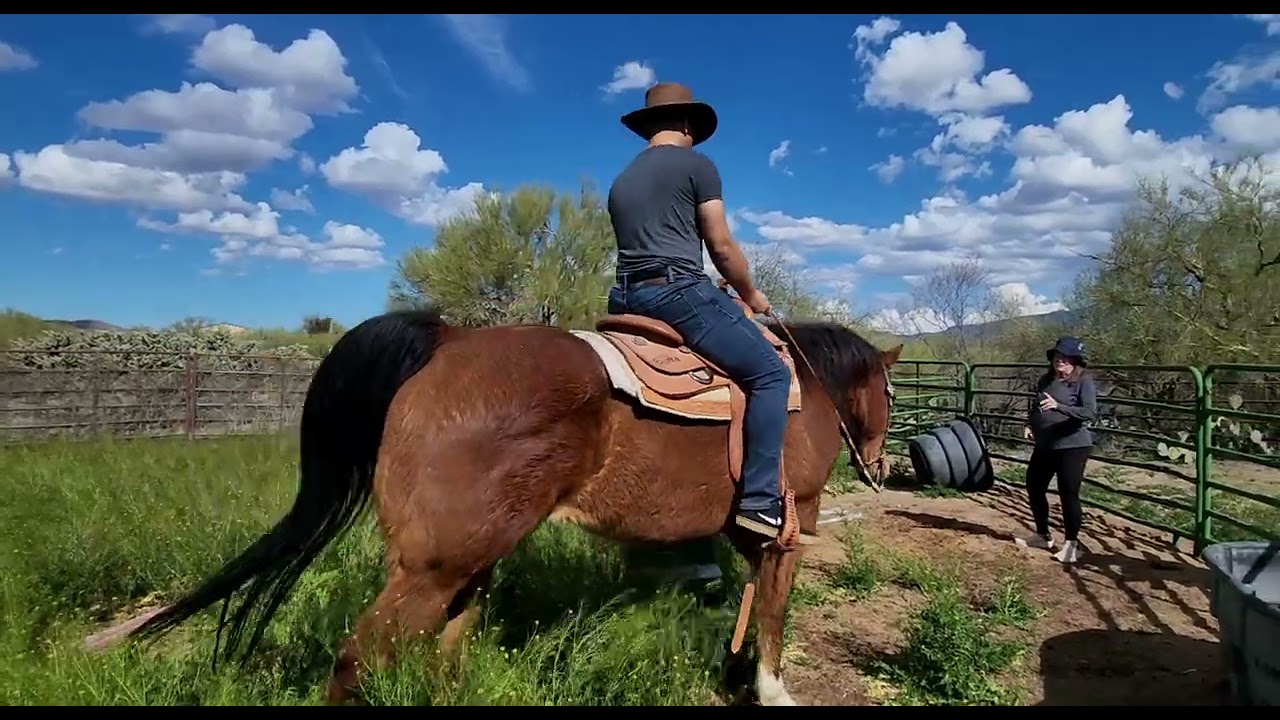 Cliff on Joey