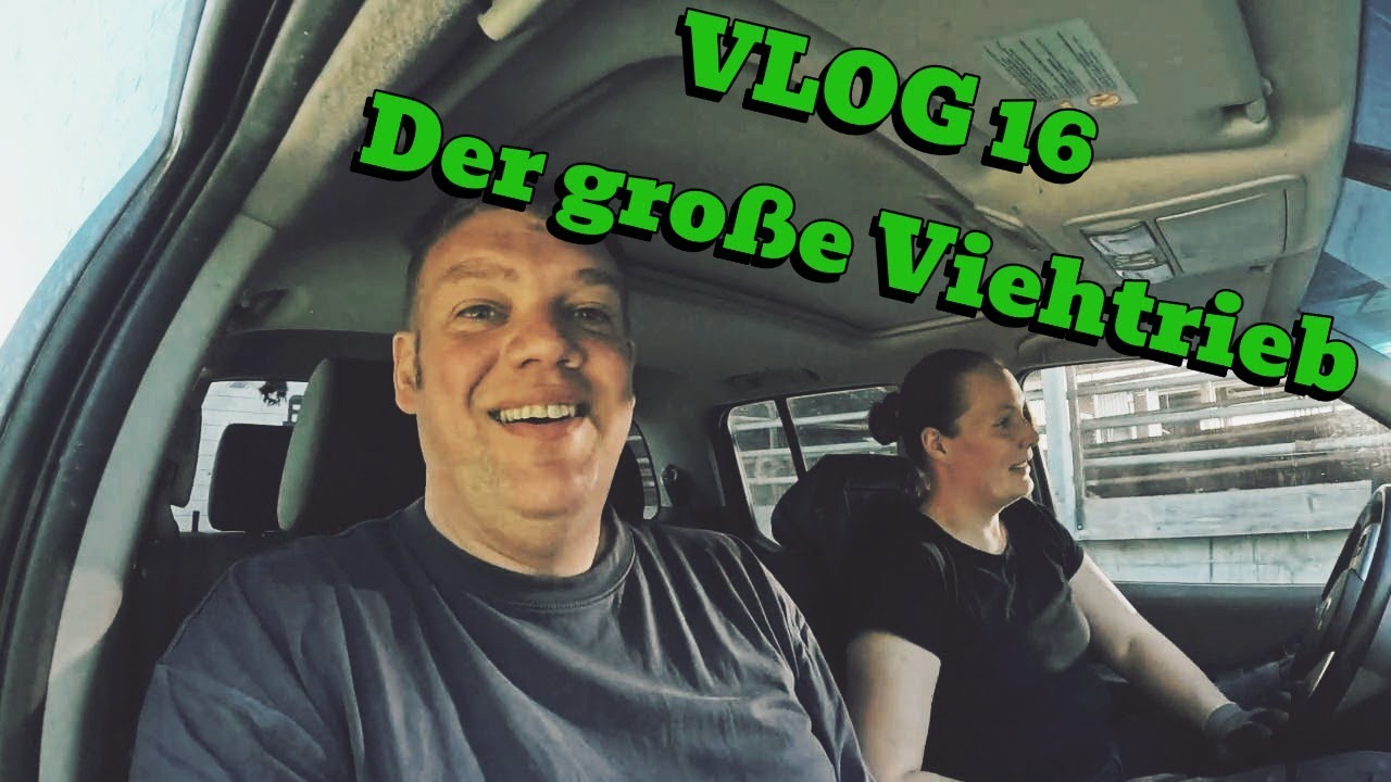 Farm-Vlog #16 Der große Viehtrieb, jetzt wird aufgerückt