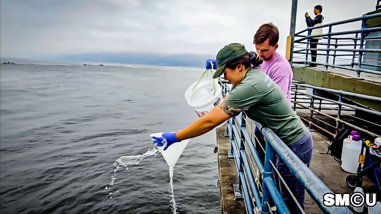 𝗥𝗨𝗡𝗢𝗙𝗙 𝗥𝗘𝗦𝗘𝗔𝗥𝗖𝗛: USC Researchers Test Coastal Microbes After Palisades Fire