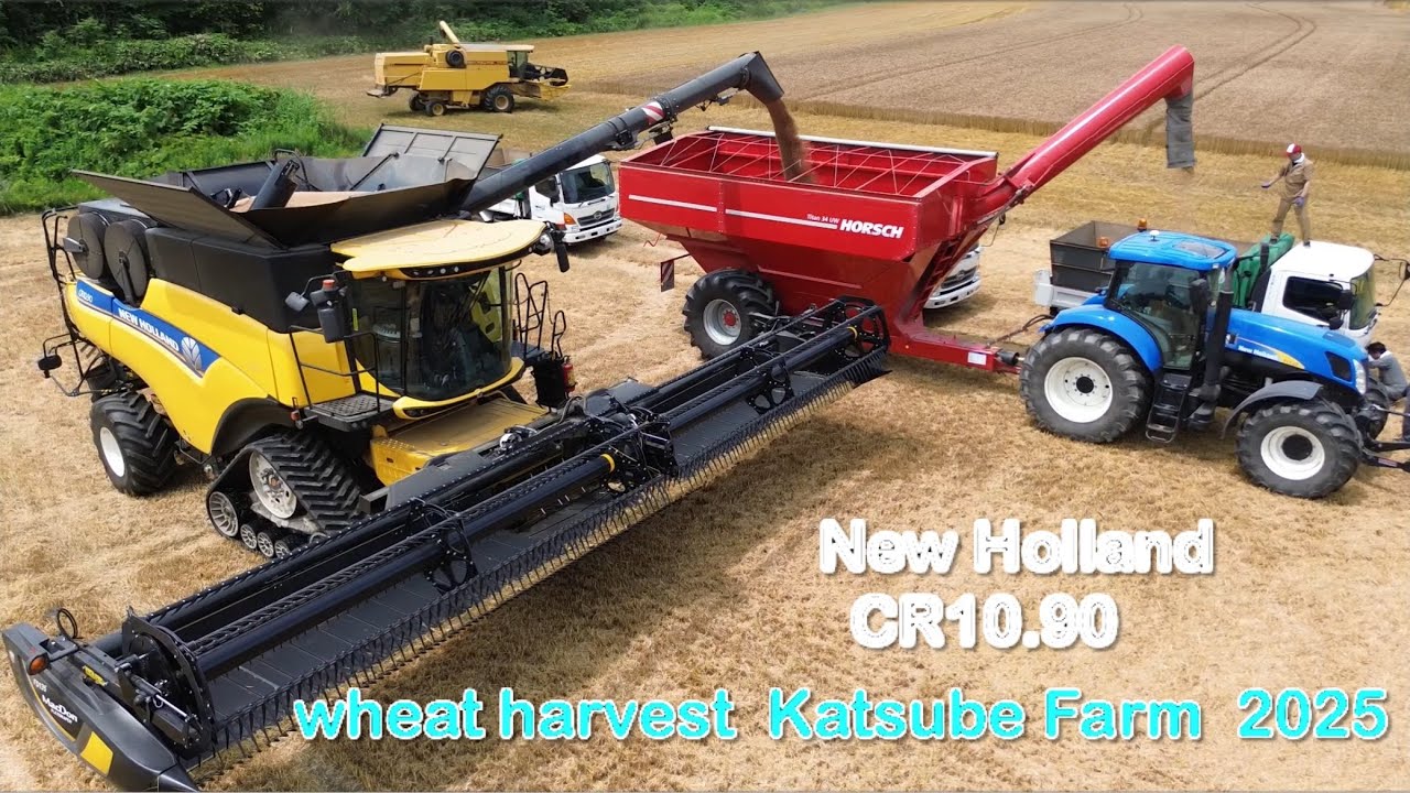 【2025.7.17】New Holland CR10.90        勝部農場さんを見学してきました