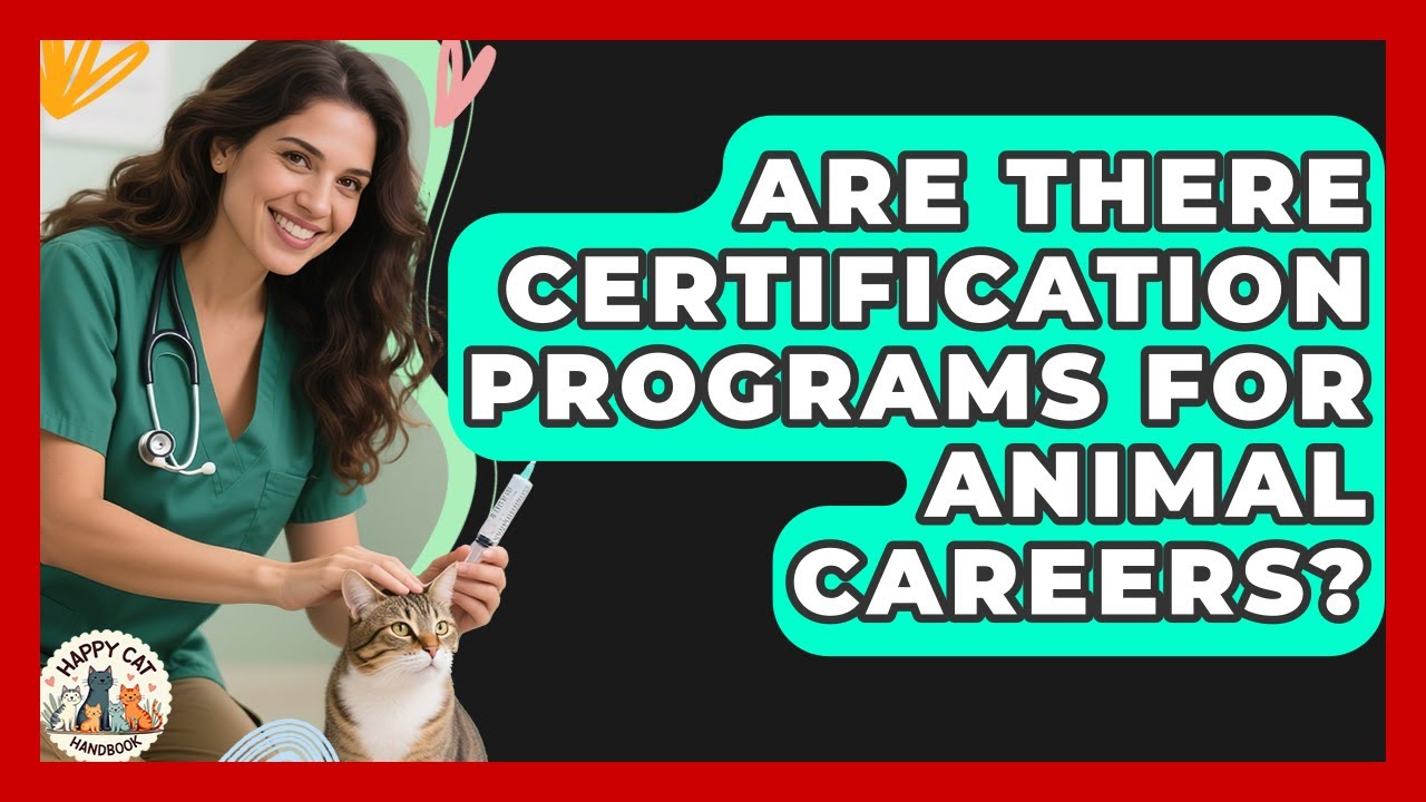 Are There Certification Programs for Animal Careers? | Animal Care Jobs