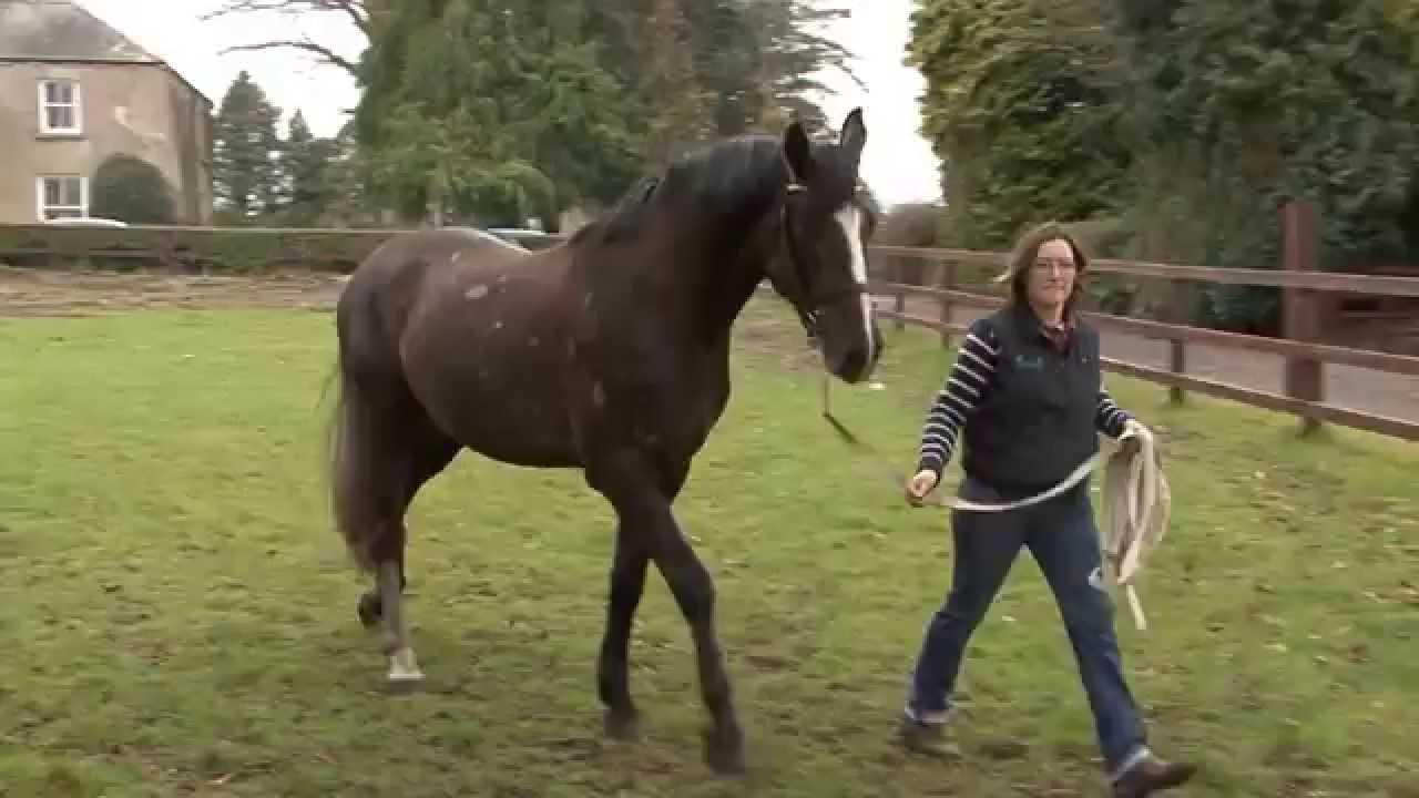 Arish & Encore