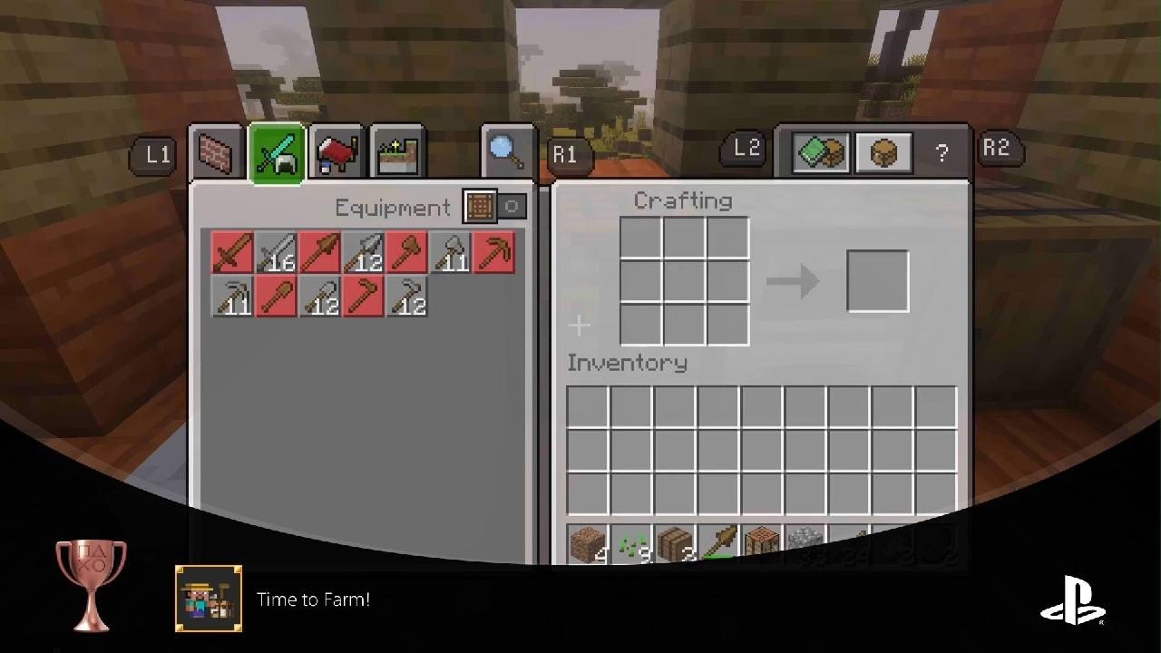 Minecraft_20260117140115