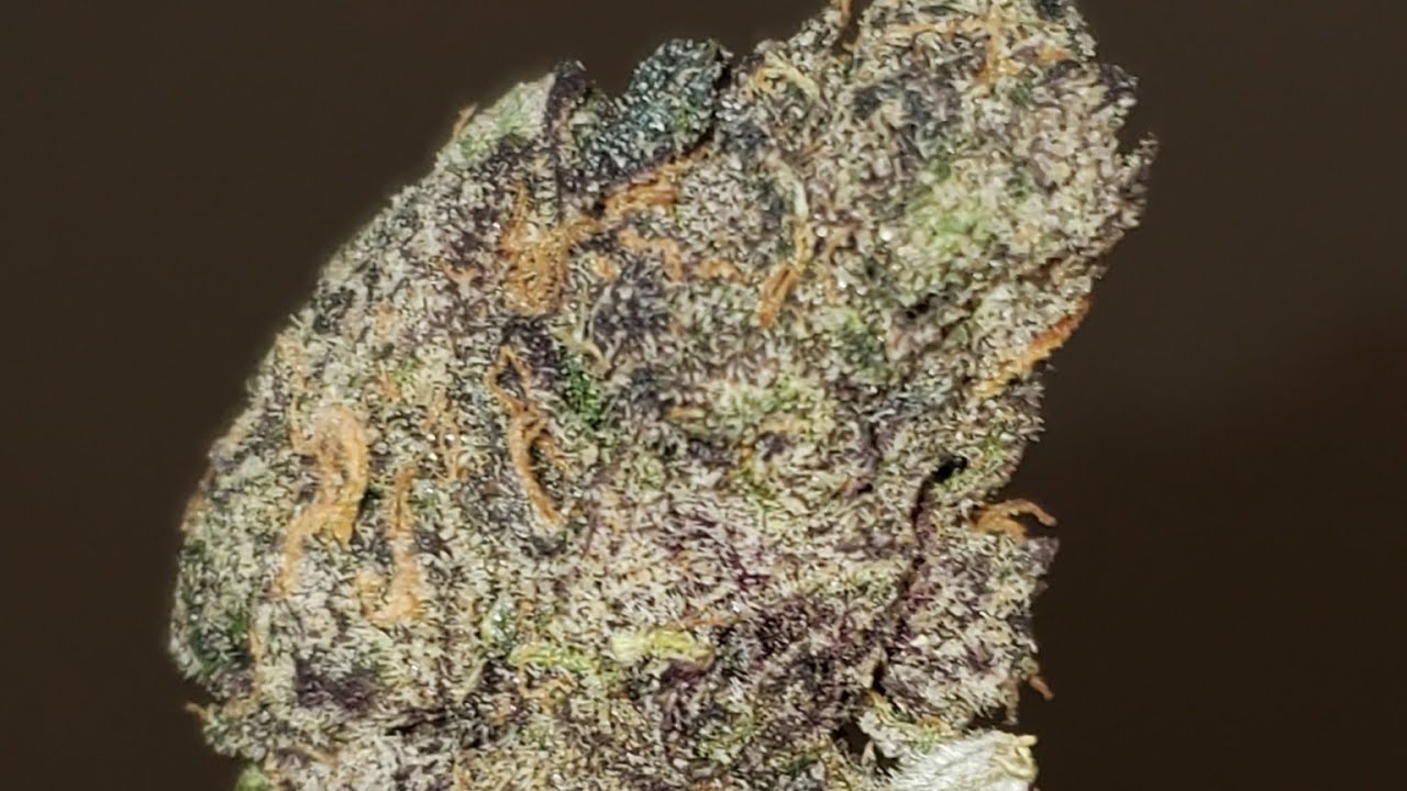 BLUE NERDS STRAIN в стиле Wake and BAKE