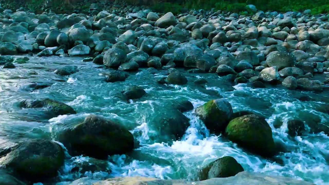 Tropical Forest River for Deep Relaxation, Zen, Sound Sleep