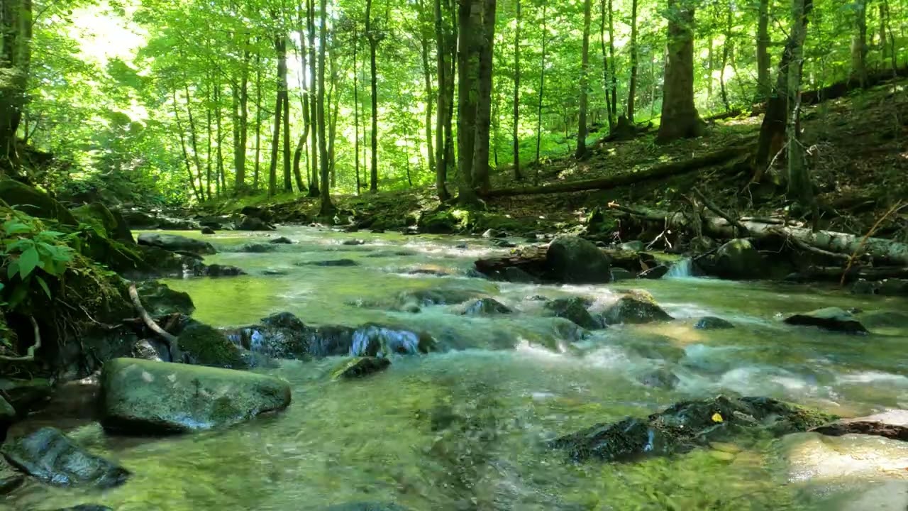 G&oacute;rski potok, czysta woda, zieleń lasu, śpiew ptak&oacute;w, szum potoku sen/relaks/nauka/asmr