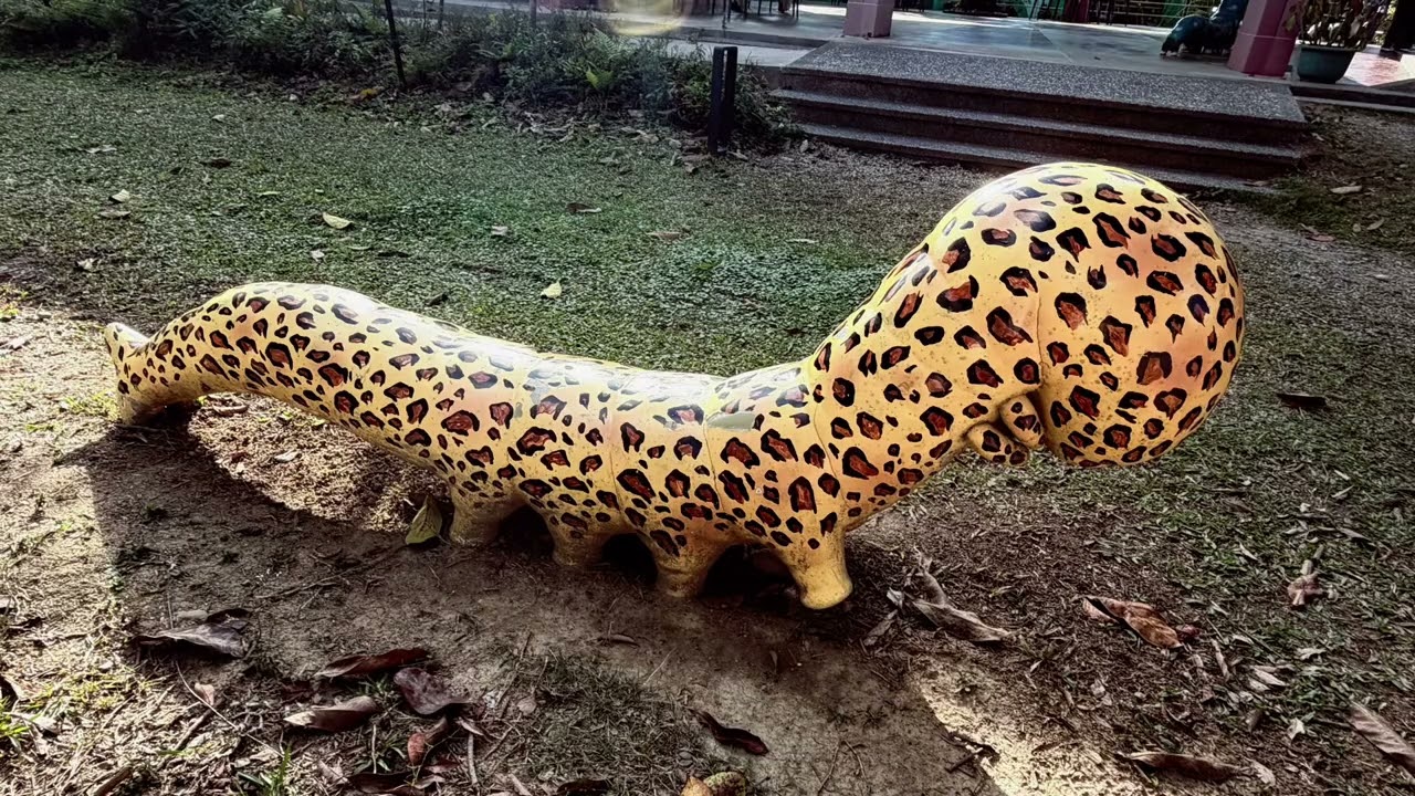 紙教堂