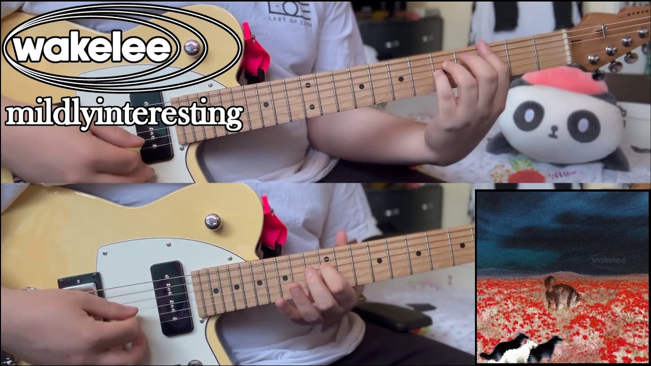 wakelee - mildlyinteresting (Guitar Cover)