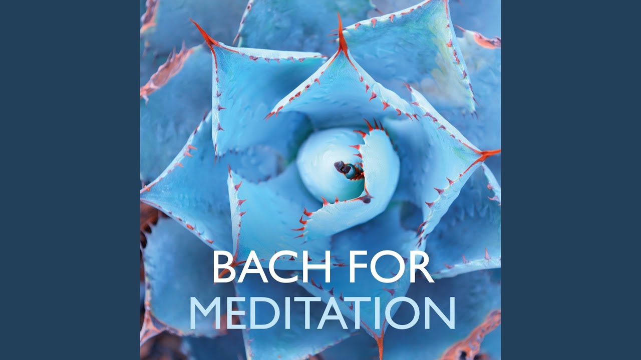 Keyboard Concerto No. 5 in F Minor, BWV 1056: II. Largo