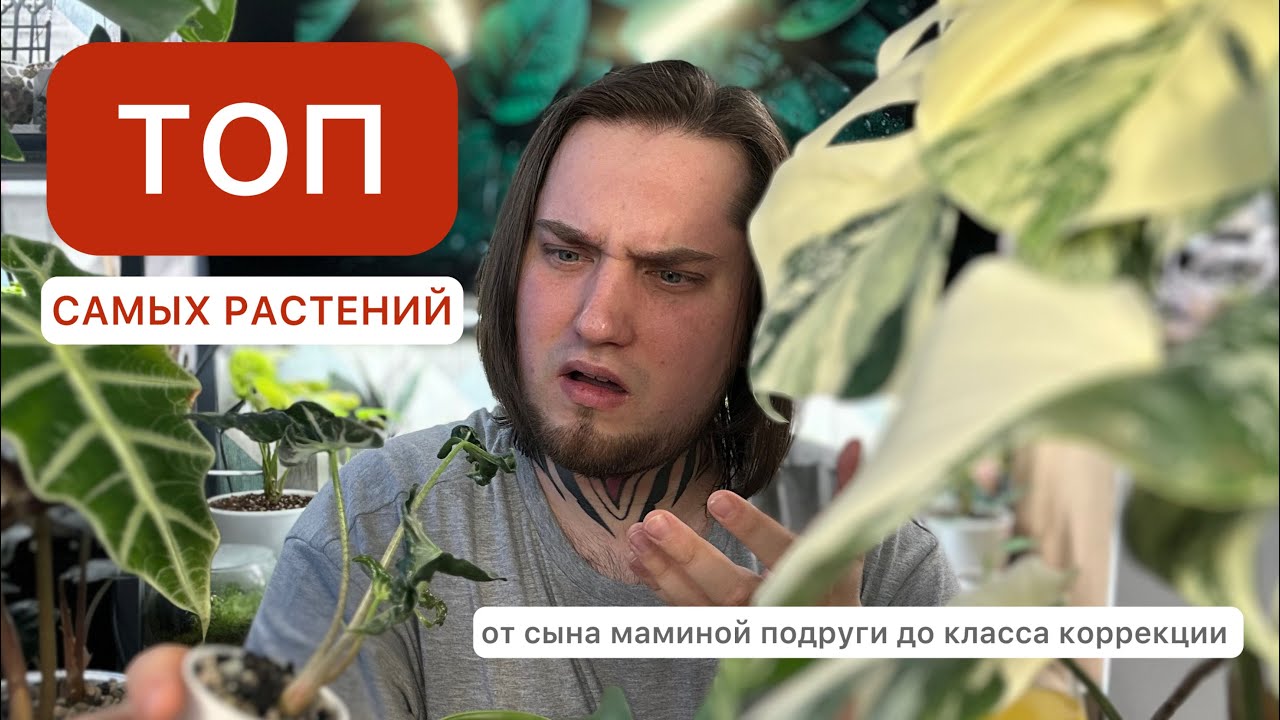 САМЫЕ-САМЫЕ РАСТЕНИЯ / Обзор коллекции растений