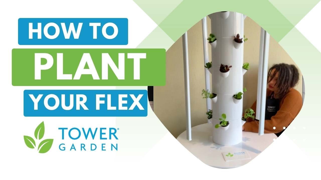 Katie shows us how to Plant on the Tower Garden FLEX!
