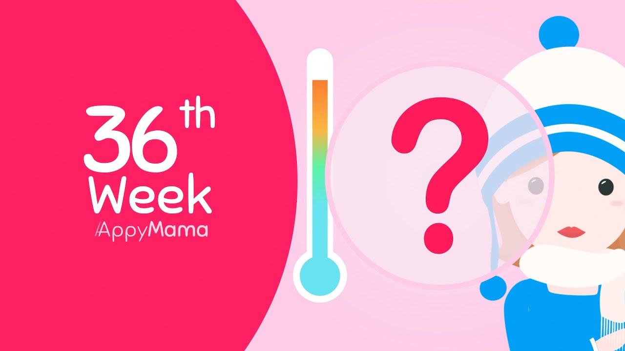 Week 36 of #pregnancy | Do not you worry
