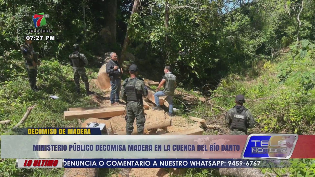 Ministerio Público decomisa madera en la Cuenca del río Danto de La Ceiba