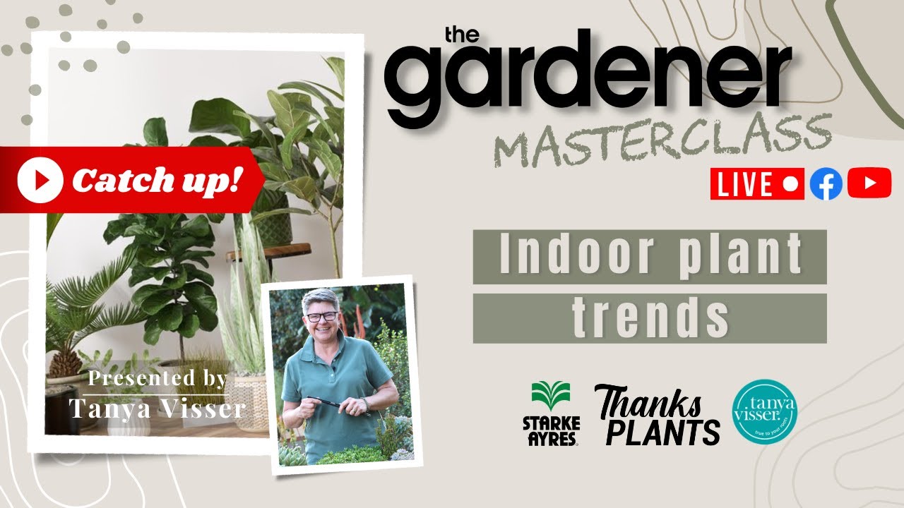 Indoor Plant Trends Masterclass with Tanya Visser