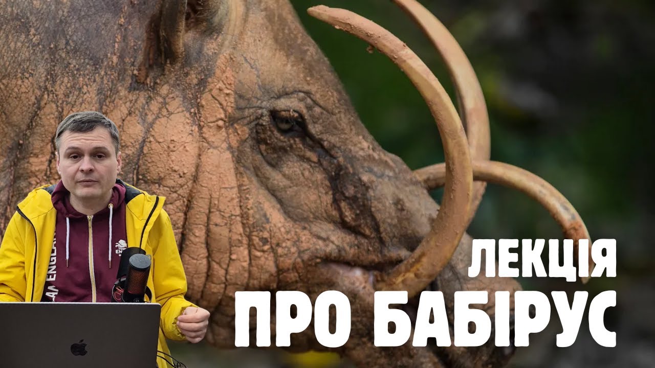 Бабіруси - доісторичні свині з іклами, які можуть врости в череп