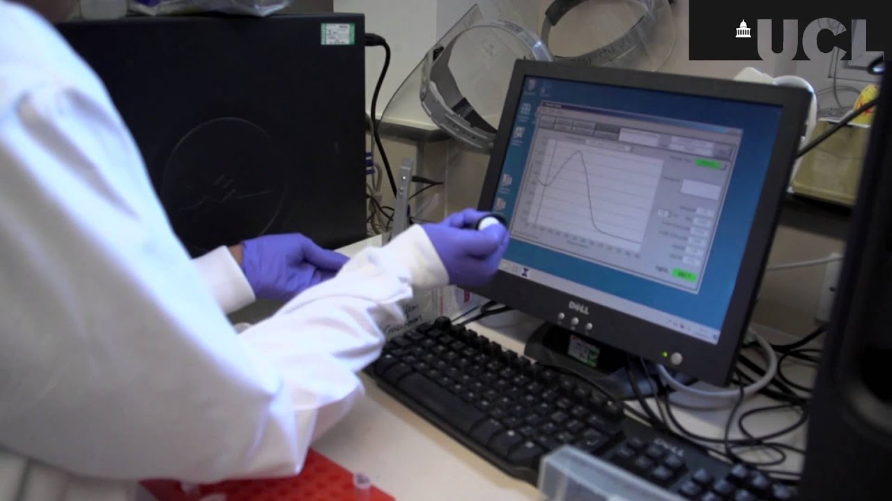 MSc Molecular Medicine