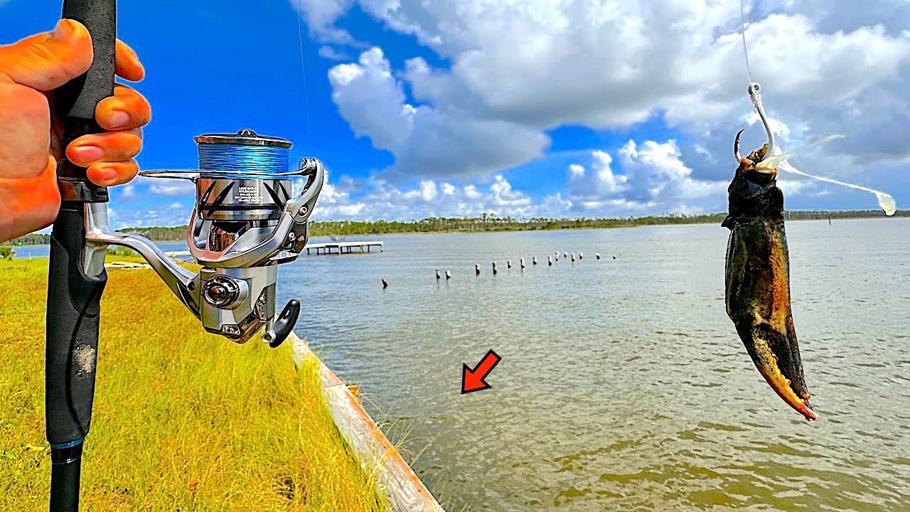 Fishing a CRAB CLAW! alongside my Seawall and Caught THIS!