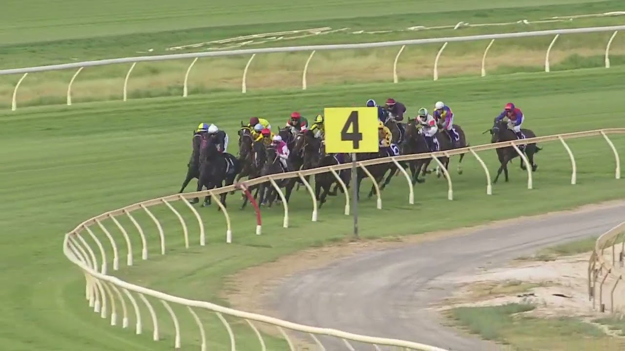 Magic Millions WA 3yo Trophy 2026 - TWISTED STEEL (3YO SW LR) Listed Pinjarra 14 February