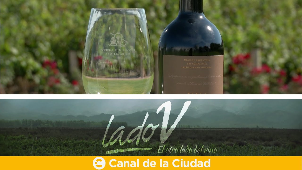 Los secretos de Cabernet Sauvignon, conocido como “El Rey de los tintos”, en Lado V