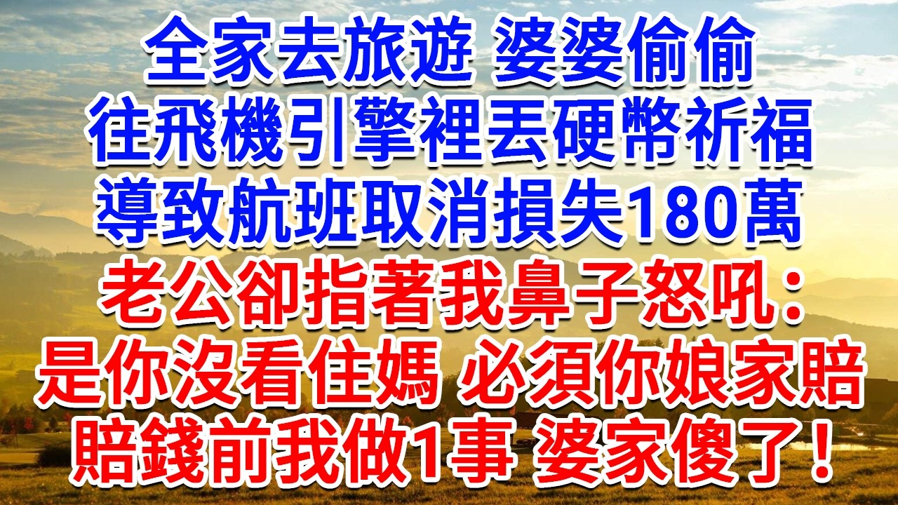 全家去旅遊，婆婆偷偷往飛機引擎裡丟硬幣祈福，導致航班取消損失180萬，老公卻指著我鼻子怒吼：是你沒看住媽，這錢必須你娘家賠，賠錢前我做1事 婆家傻了！#生活經驗#情感故事#故事#小說#戀愛#情感#婚姻