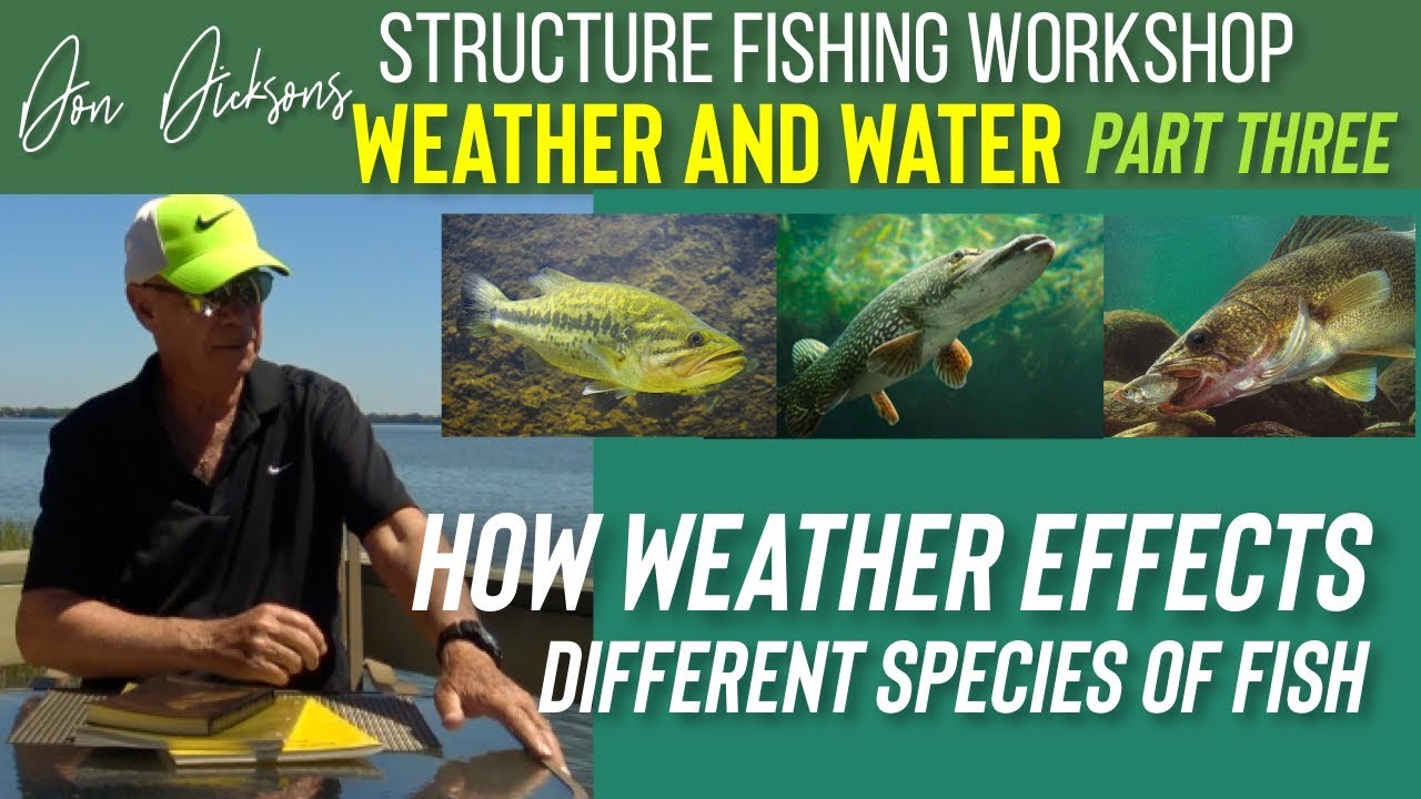Don Dicksons STRUCTURE FISHING WORKSHOP