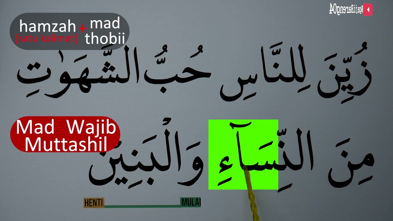 MENGURAI TAJWID SURAH ALI IMRAN AYAT 14 BAG 1 ARTINYA, CARA BACA & CONTOH PENGUCAPANNYA EPS 524