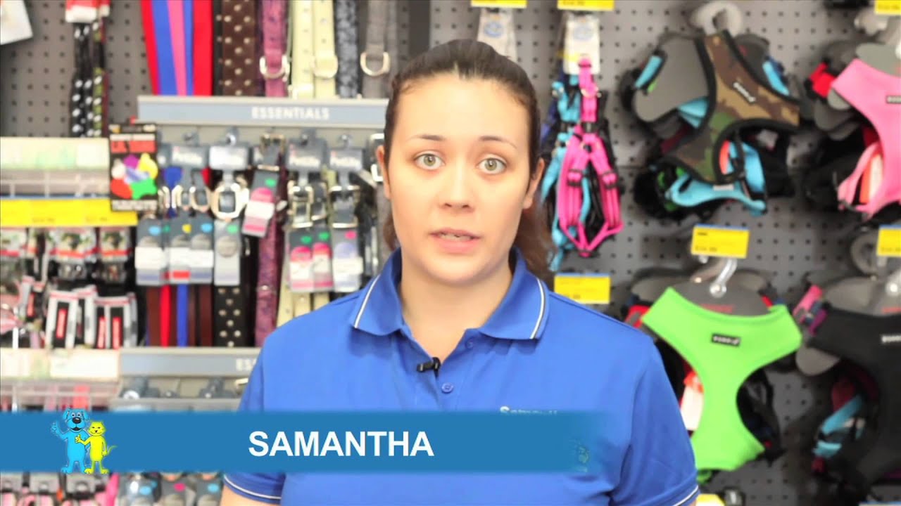 PetO Dog Harness Advice