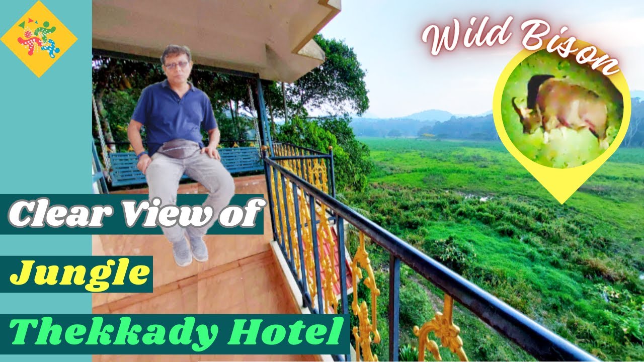 24*7 ANIMAL Sighting From This JUNGLE FACING 🏨 Hotel//Kerala Series[Epi.20]//Tips To Travel