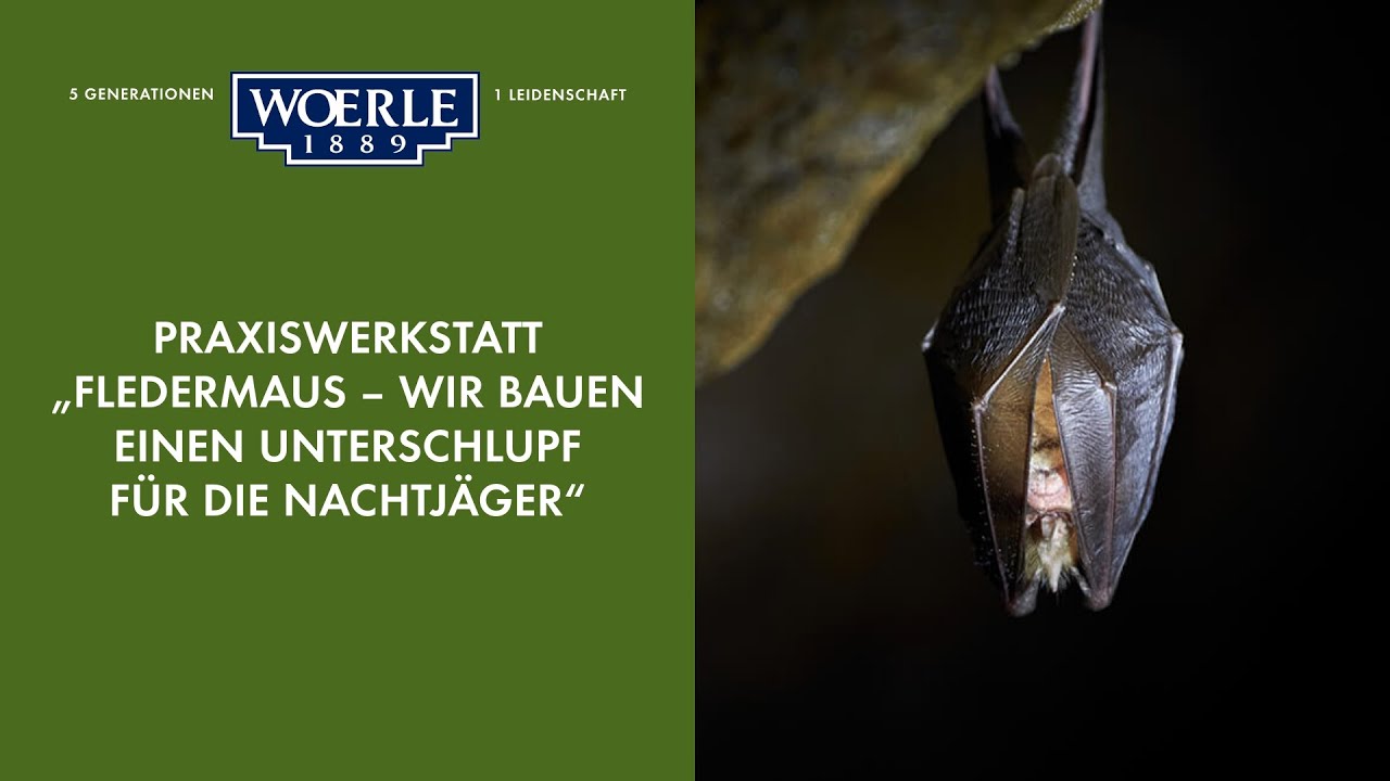 Woerle Fledermaus