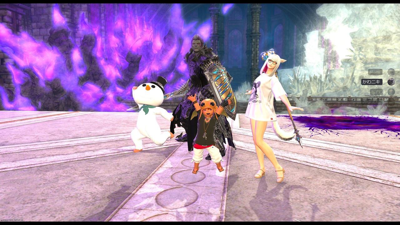 【FF14】詩想エミネントグリーフ討滅戦(供物40)　白魔道士視点