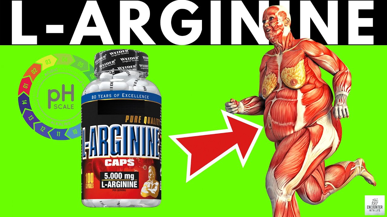 L-Arginine Supplement - What Are The Workout Benefits And Beyond?