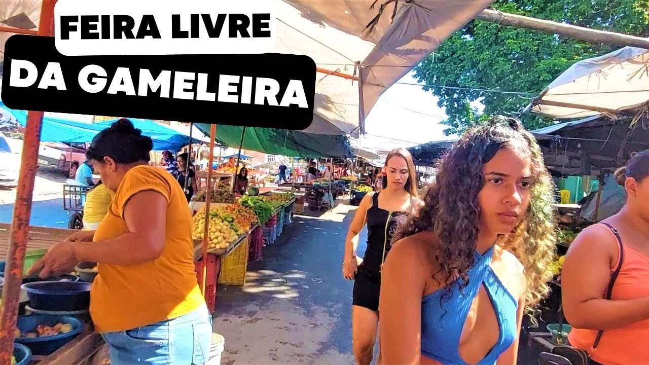 Como é a Feira Livre da cidade da Gameleira - PE