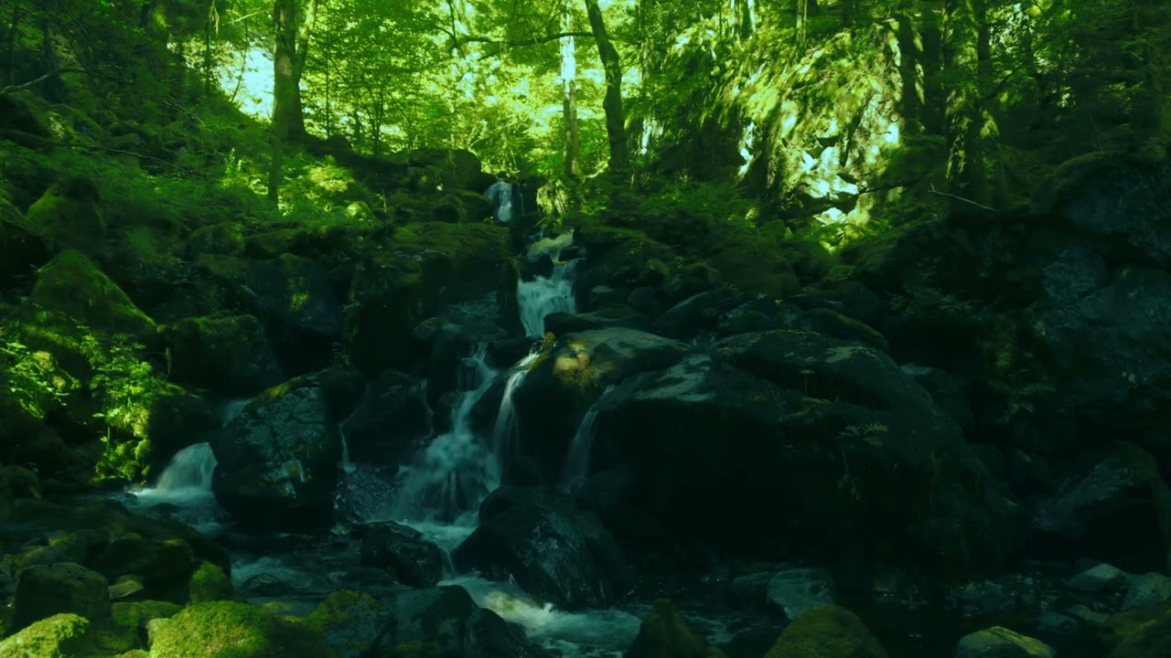 Peaceful Waterfall in the Heart of the Forest.