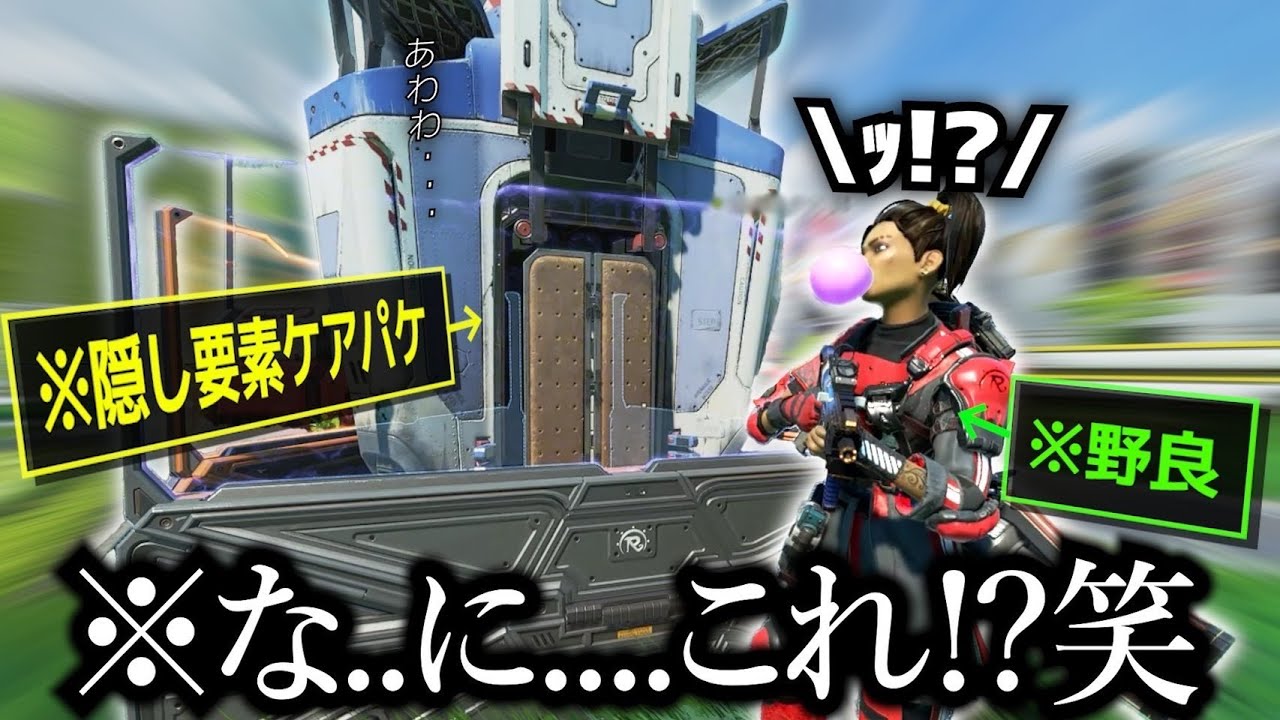 ライフラの隠し要素に大興奮の野良が可愛いw【APEX 】