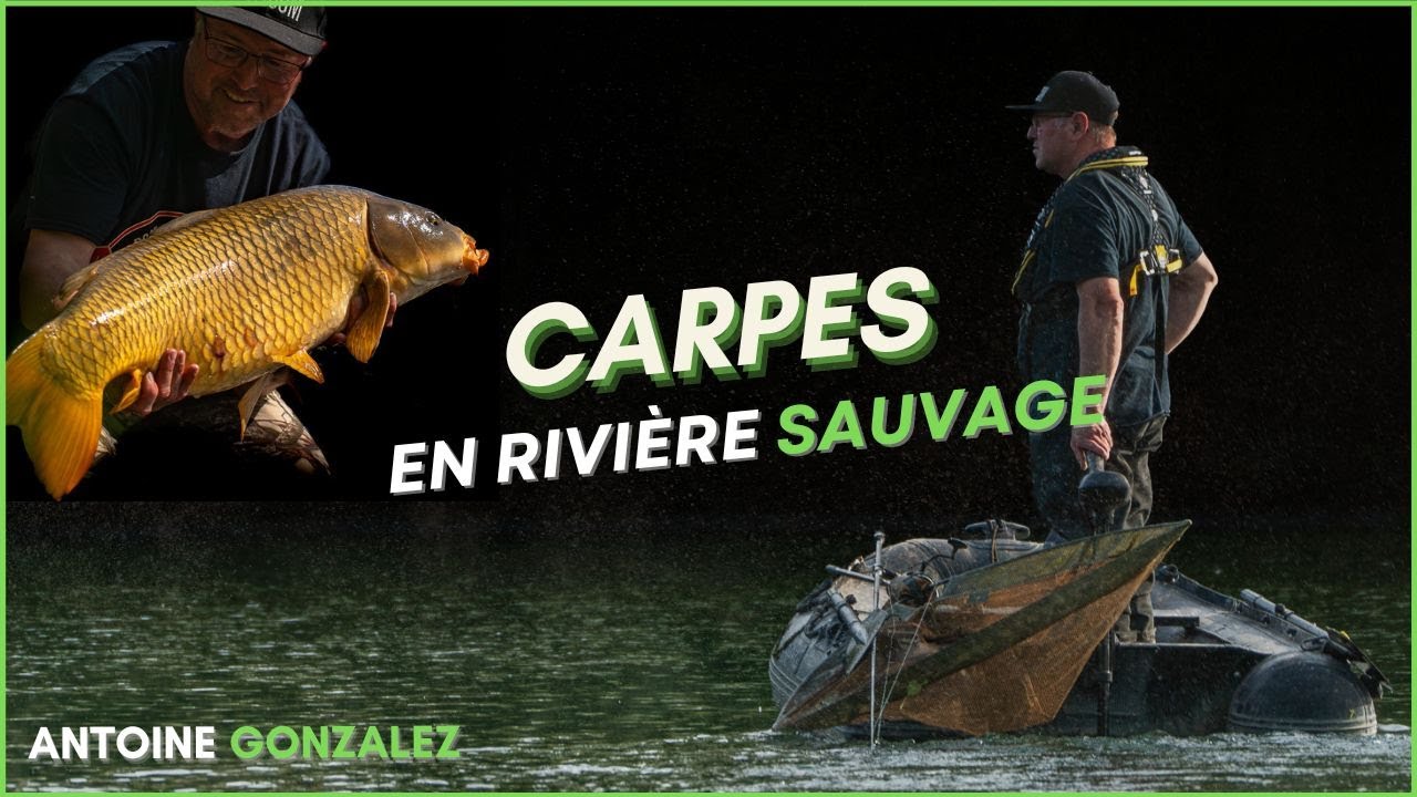 CARPES EN RIVIERE SAUVAGE