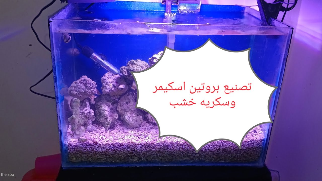 طريقه عمل بروتين اسكيمر وسكريه خشب protein skimmer