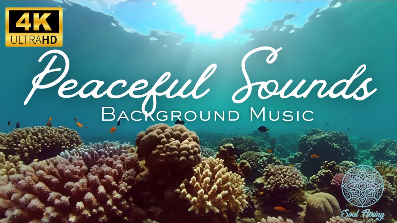 The Most Peaceful Calming Ambience for Relaxation & Focus