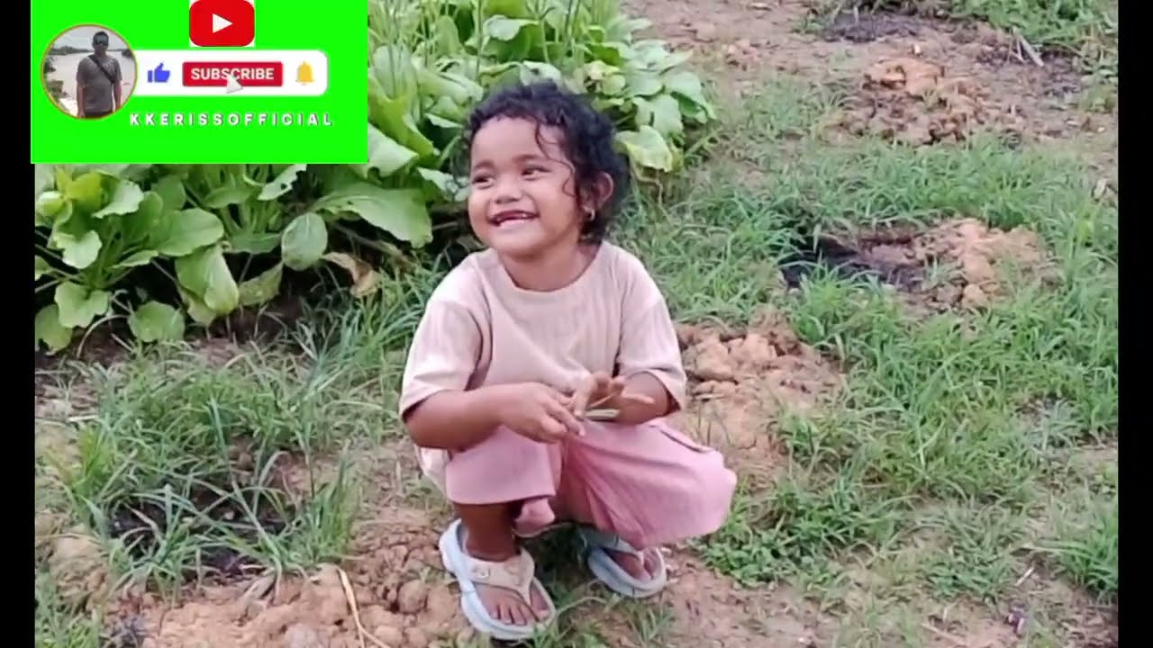 Lagu manggarai terbaru  NENDONG
