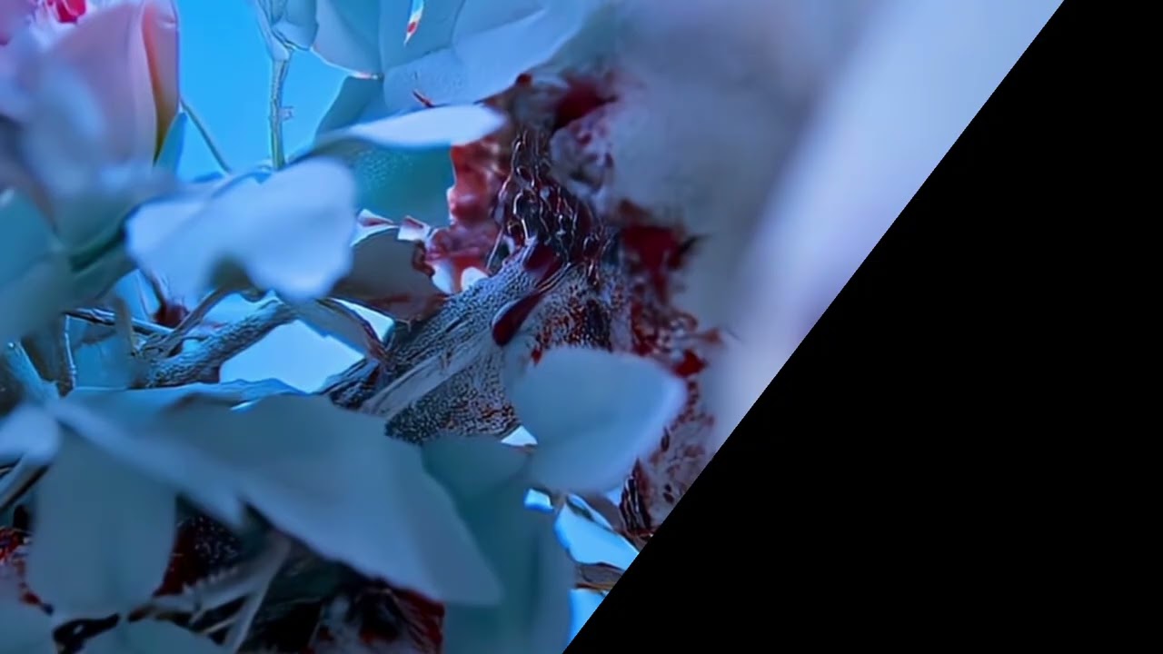 .DON'T .US .DUMB (.FEEL .YEEZUS) (Visualizer)