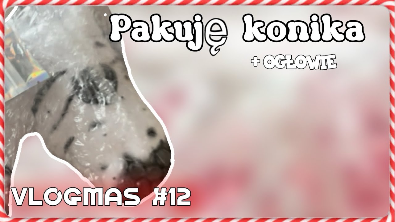 𝐕𝐋𝐎𝐆𝐌𝐀𝐒 #𝟏𝟐🎄pakuję konia i ogłowie na zamówienie!