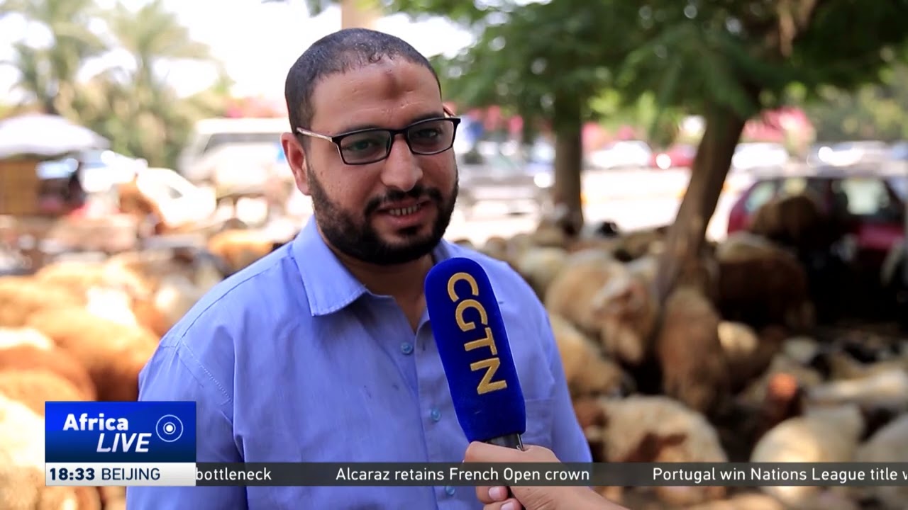 Eid al-Adha celebrations draw tourists to Cairo