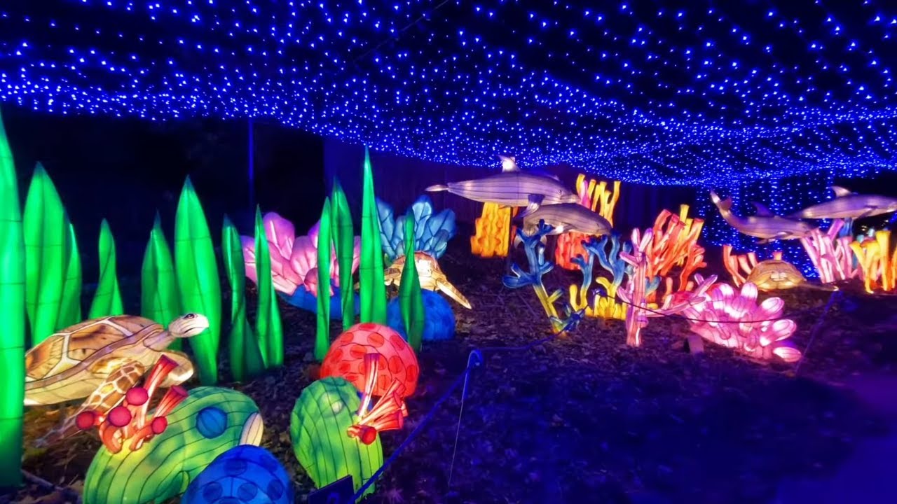 Bronx Zoo Holiday Light Show Live Walking Tour in New York City (November 20, 2020)