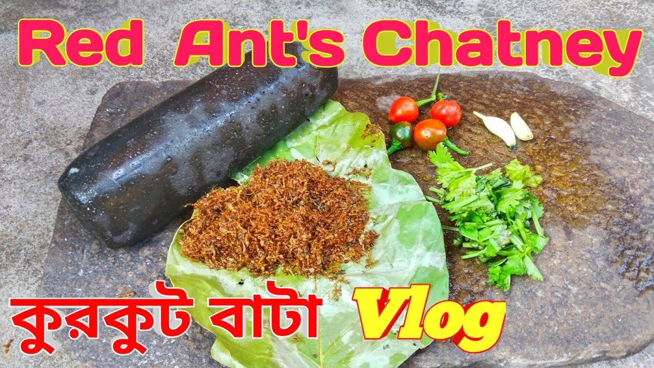 Red Ant's Chutney😱#Kurkut Chutney#😂Kurkut Bata🌶️#Haw Rith