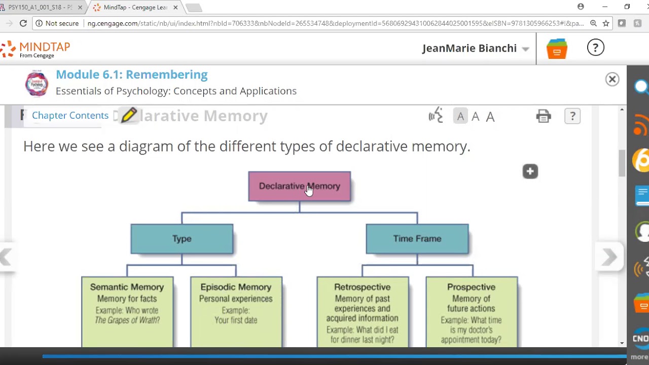 Declarative Memory Types & Time Frames