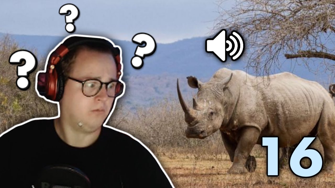 HUR LÅTER NOSHÖRNINGAR?! | RS #16